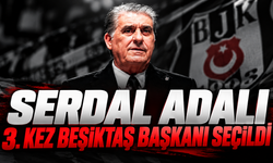 Serdal Adalı 3. Kez Beşiktaş Başkanı Seçildi