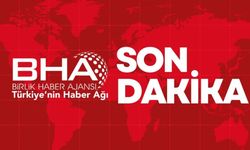 ABD'de de araç kalabalığa daldı: 10 ölü