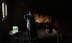 Karadeniz kadınının bitmeyen çilesi