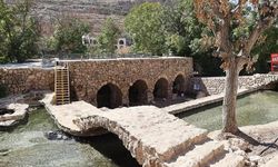 Mardin'de 1500 yıllık mozaik gün yüzüne çıktı