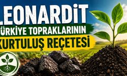 Gübre Krizi Büyürken Gözler Leonarditte: Türkiye’nin Dev Potansiyeli Tartışılıyor