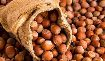 Türkiye'nin fındık ihracatında ilk sıra Almanya'nın