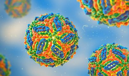 İtalya’da Batı Nil Virüsü vaka sayısı artışta