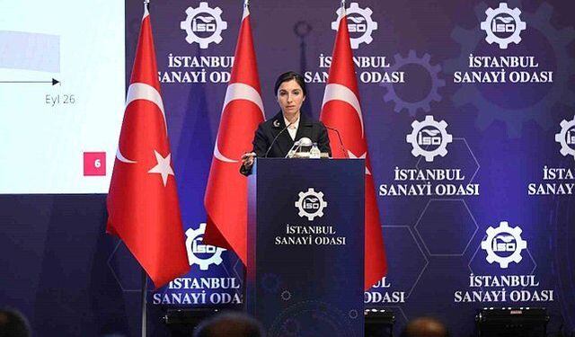 MB Başkanı Hafize Gaye Erkan'dan 'enflasyon' açıklaması