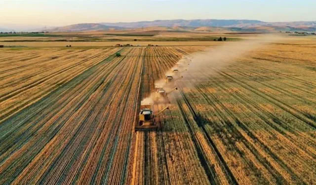 Çiftçilere 42 milyon euroluk yeni destek müjdesi