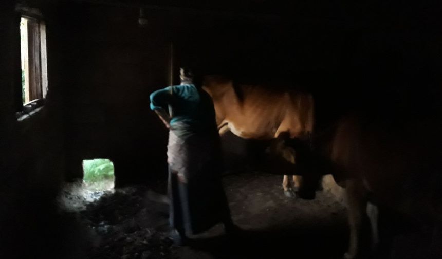 Karadeniz kadınının bitmeyen çilesi